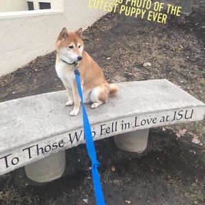 Meet your Posher, Julie